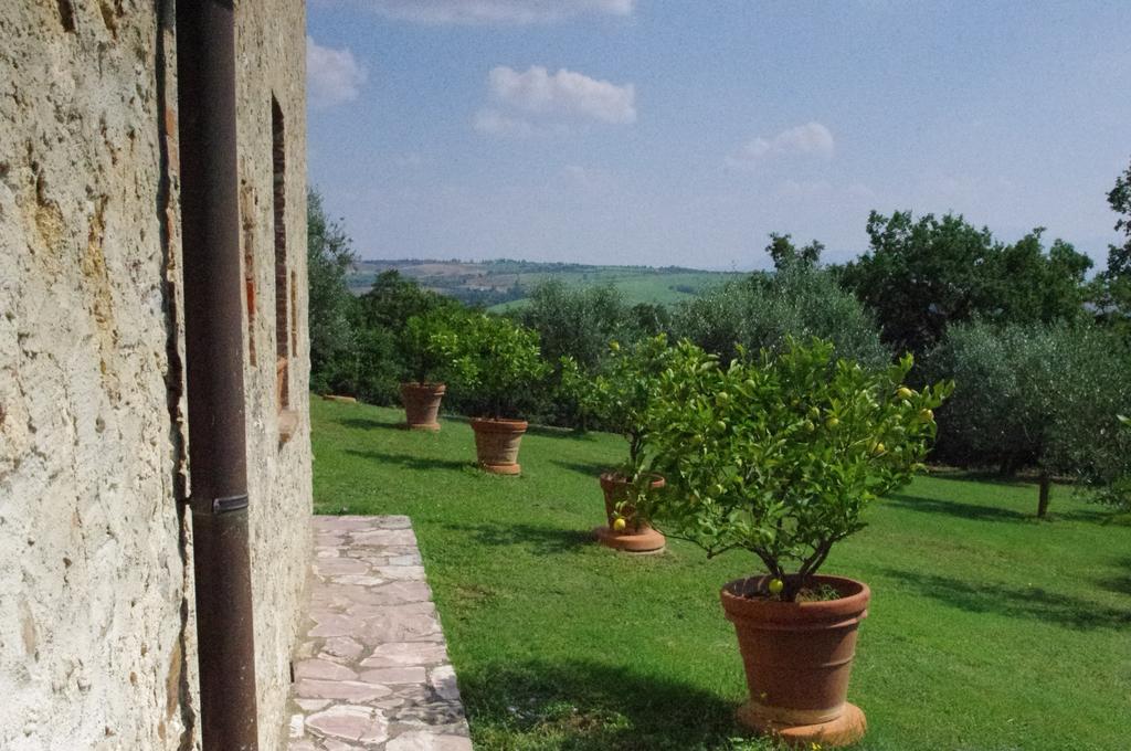 Agriturismo Cerreto Πιέντσα Εξωτερικό φωτογραφία