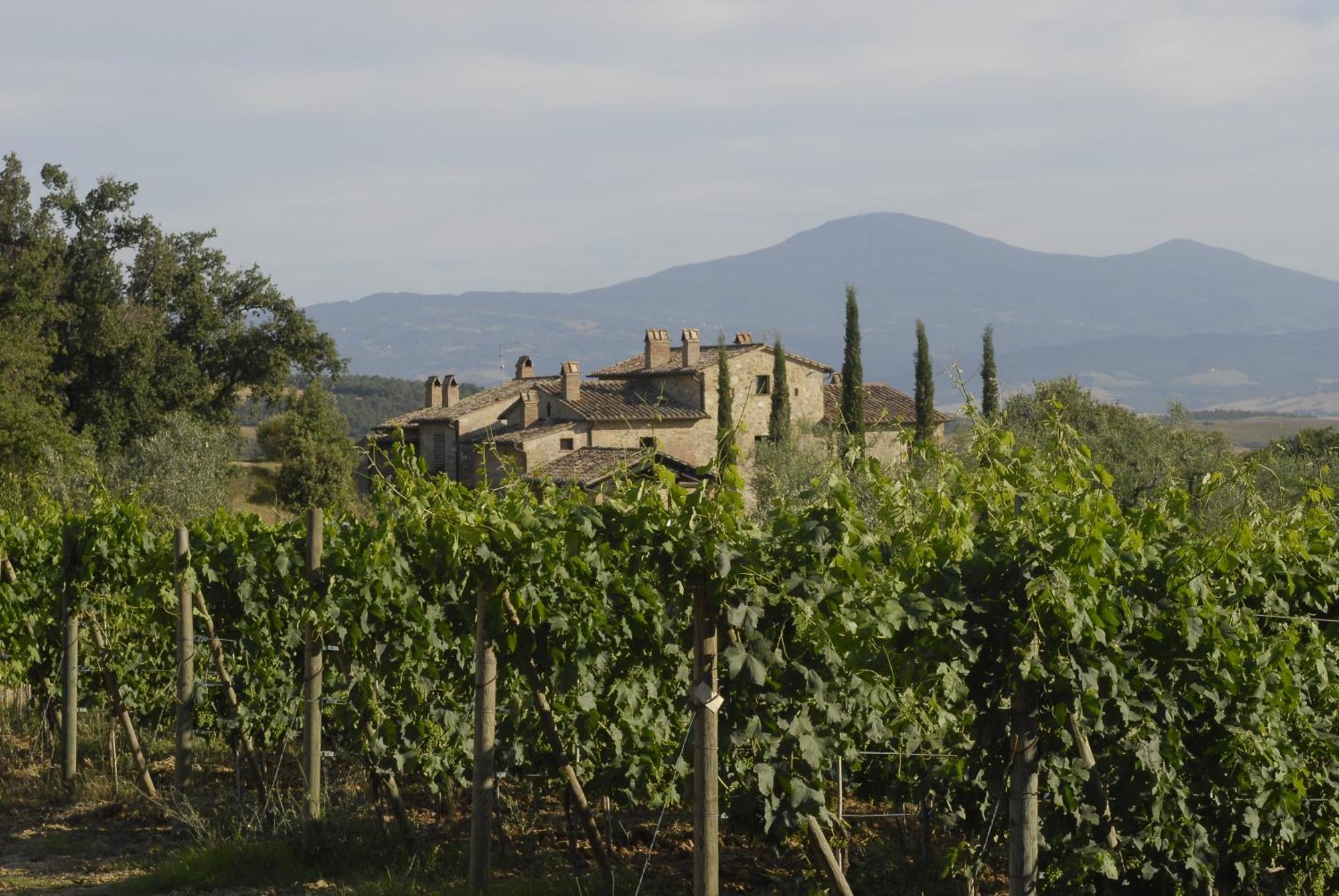 Agriturismo Cerreto Πιέντσα Εξωτερικό φωτογραφία
