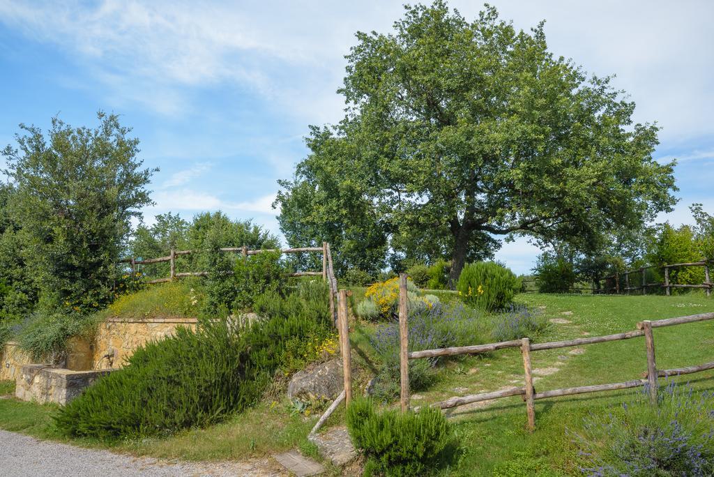 Agriturismo Cerreto Πιέντσα Εξωτερικό φωτογραφία