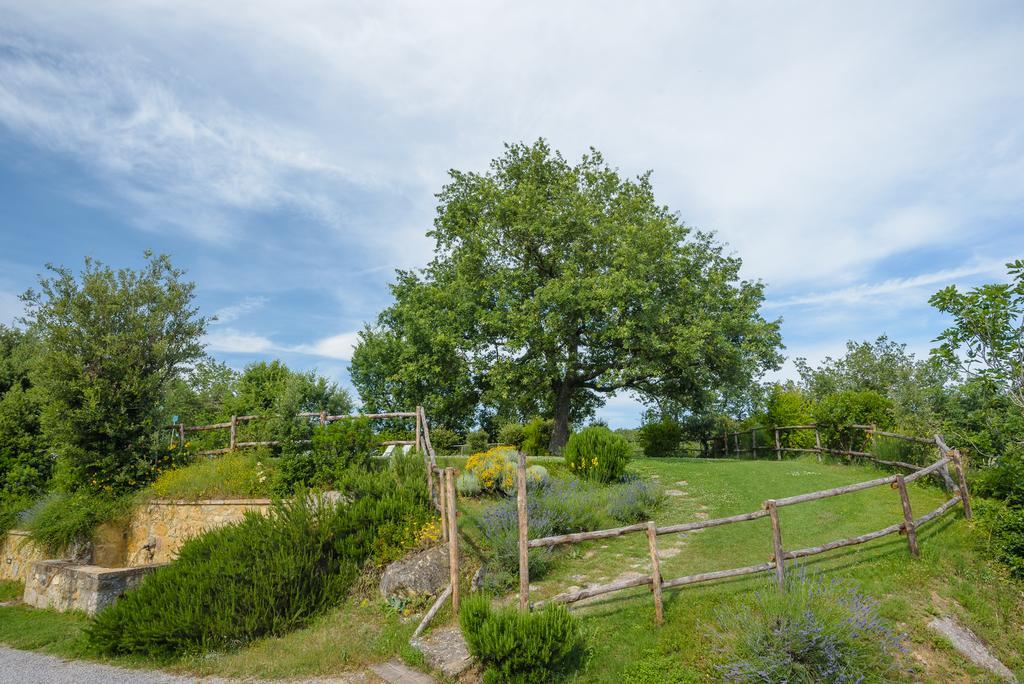 Agriturismo Cerreto Πιέντσα Εξωτερικό φωτογραφία