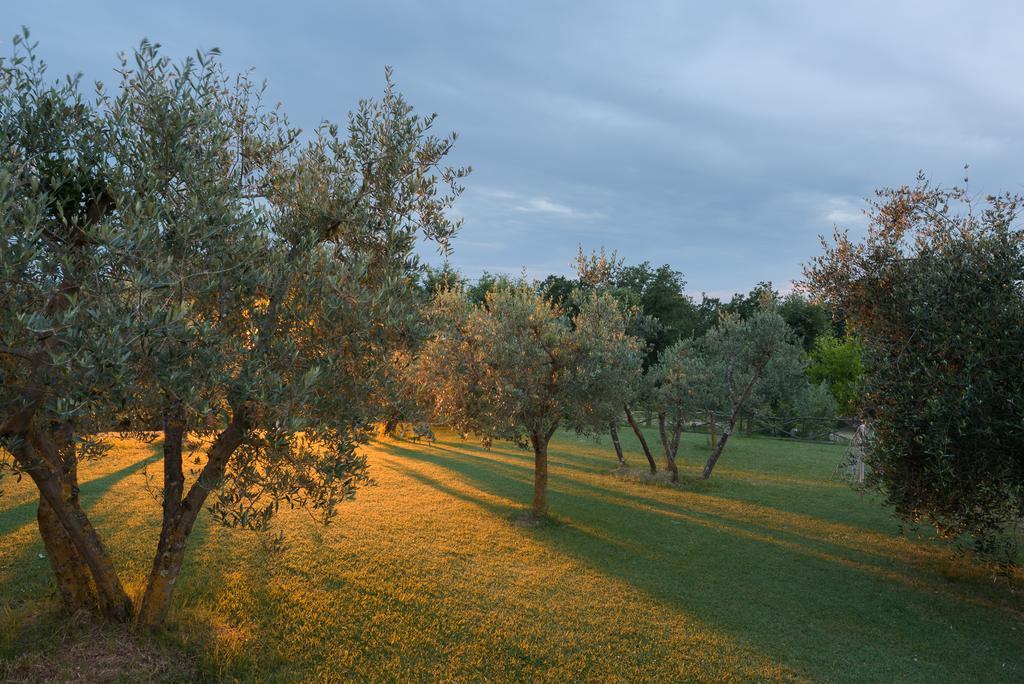 Agriturismo Cerreto Πιέντσα Εξωτερικό φωτογραφία